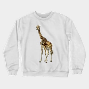 Long Neck African Safari Giraffe Crewneck Sweatshirt